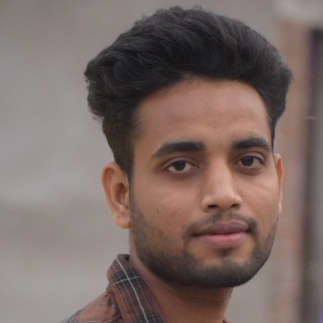 Nik Raj-Freelancer in Patna,India