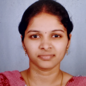 Sneha N-Freelancer in Kandukur,India