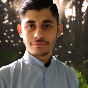 Sohail Ahmad-Freelancer in Islamabad,Pakistan