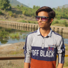 kemil Dhanani-Freelancer in Surat,India