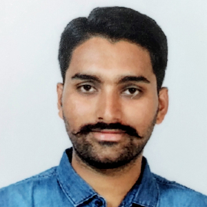 Harshad Mulay-Freelancer in ,India