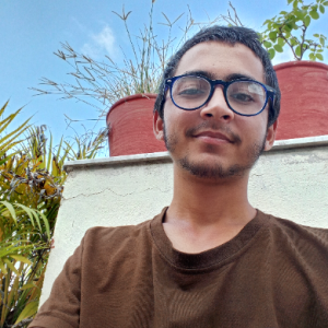 Aryan Rawal-Freelancer in Udaipur,India