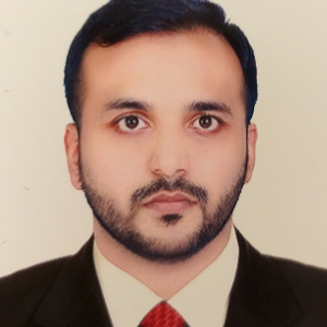 Muhammad Haris-Freelancer in ,UAE
