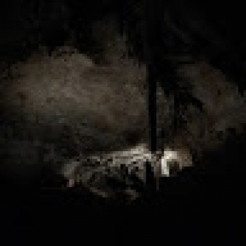 Rachana Meduri-Freelancer in ,India