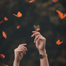 Manisha Roy-Freelancer in Guwahati,India