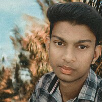 Mohd Sufiyan-Freelancer in Mangrulpir,India
