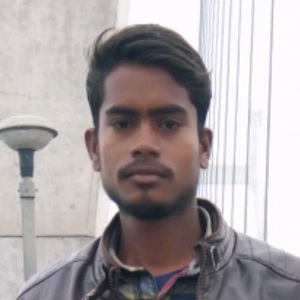 Santosh Kumar Yadav-Freelancer in ,India