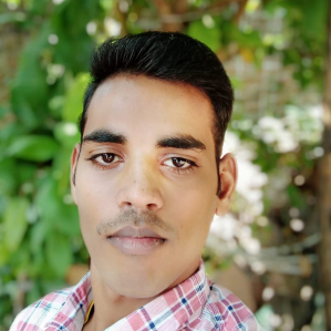 Vivek Sahu-Freelancer in ,India