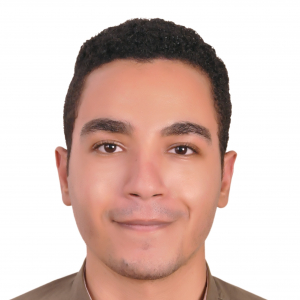 Ahmed Nasr-Freelancer in giza,Egypt