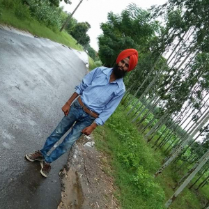Harminder Singh-Freelancer in Mohali,India
