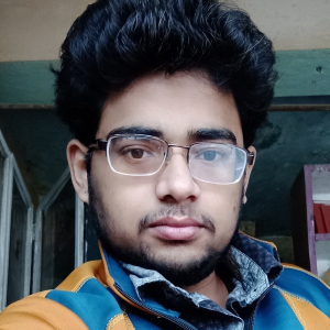 Salil Gupta-Freelancer in Lucknow, Uttar Pradesh,India