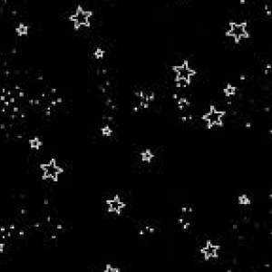 Amyhs Sherin-Freelancer in ,India