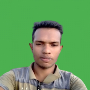Md Rakibul Hasan-Freelancer in Bogra,Bangladesh