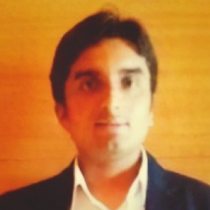 Vinod Viswanathan-Freelancer in ,India