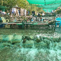 Nigar Naseem-Freelancer in Attock City,Pakistan