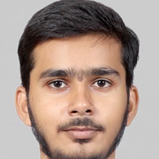 Amir Raza-Freelancer in Bareilly,India