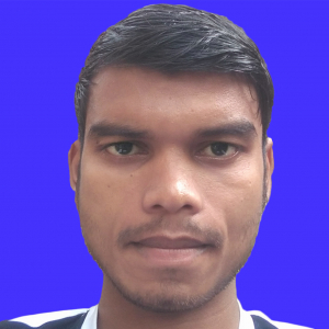 Bharat Kumar-Freelancer in Ranchi,India