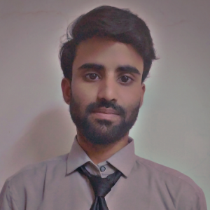 Sohail Raza Chhipa-Freelancer in Jaipur,India