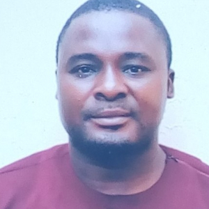 Olusegun Eludire-Freelancer in Lagos,Nigeria