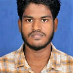 Pravin P-Freelancer in Madurai,India