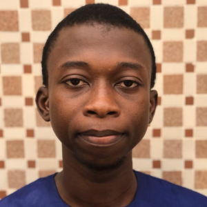 Bankole Victor-Freelancer in Ikeja,Nigeria