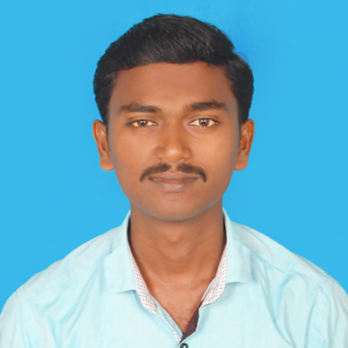 Ramesh P-Freelancer in ,India