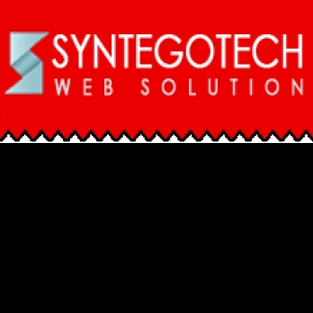 Syntegotech Web Solution-Freelancer in Jaipur,India
