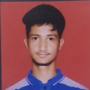 Aniruddha Parihar-Freelancer in ,India