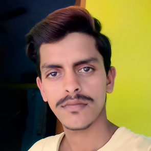 Ankit Aryan-Freelancer in Patna,India