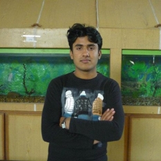 Muhammad Majid Akram-Freelancer in Multan,Pakistan