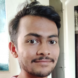 Royal Op-Freelancer in Otur,India
