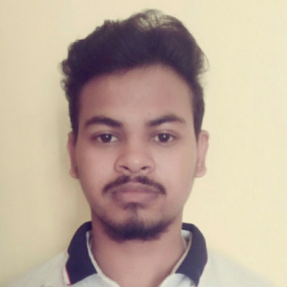 Bishal Bhowal-Freelancer in Silapathar,India