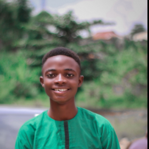 Alexander Damz-Freelancer in Ilorin,Nigeria