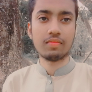Rakib Ahameed-Freelancer in Dhaka,Bangladesh