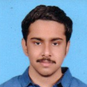 Balakrishnan Viswanathan-Freelancer in Chennai,India