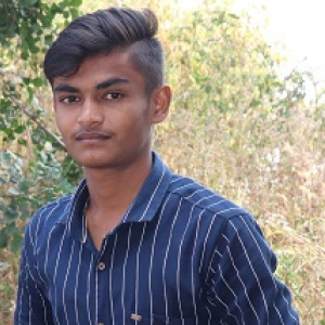 Krushna Dambare-Freelancer in ,India