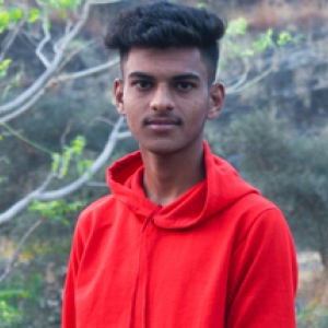 Premjit Pawar-Freelancer in Phalatan,India