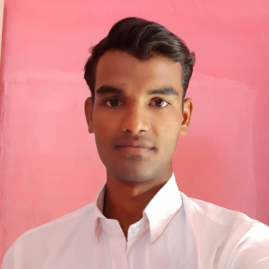 Rajat Thakur-Freelancer in ,India