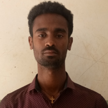 Henok Alene-Freelancer in ,Ethiopia