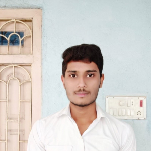 Aryan Kumar-Freelancer in Muzaffarpur,India