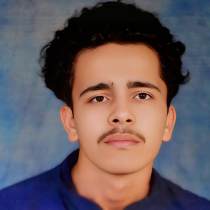 RohitGoyat-Freelancer in Narwana,India