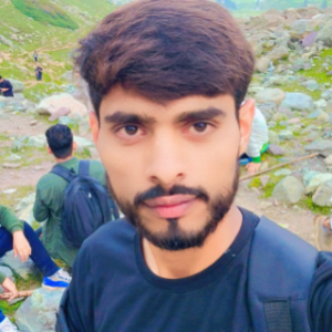 Salman Hussain-Freelancer in Sialkot,Pakistan