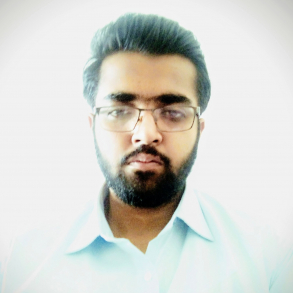 M Ali Hamza-Freelancer in ,Pakistan