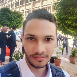 Mohamed Marwan-Freelancer in Cairo,Egypt