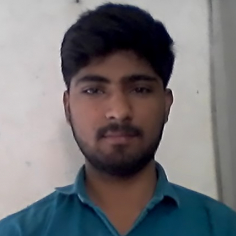 Raju Singh Rajput-Freelancer in ,India