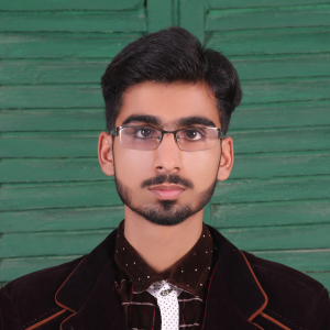 Tayyab Abdullah-Freelancer in Dera Ismail Khan,Pakistan