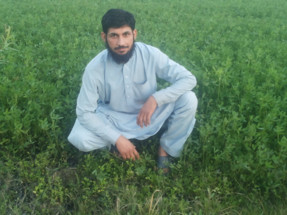 Sohail Mahmood-Freelancer in ,Pakistan