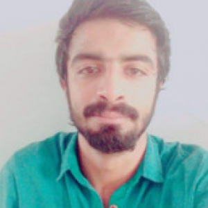 Ali Hamza-Freelancer in Faisalabad,Pakistan