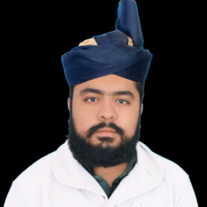 Taha Tanveer-Freelancer in Bahawalnagar,Pakistan