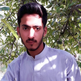 Babar Hassani-Freelancer in Quetta,Pakistan